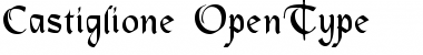 Download Castiglione Regular Font Title Preview