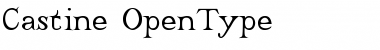 Download Castine Regular Font Title Preview