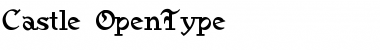 Download Castle Regular Font Title Preview