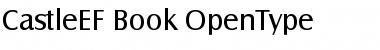Download CastleEF Book Font Title Preview