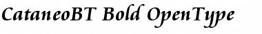 Download Cataneo Bold Font Title Preview