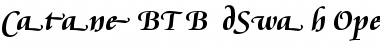 Download Cataneo Bold Swash Font Title Preview