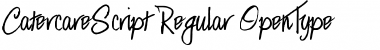 Download CatercareScript Regular Font Title Preview