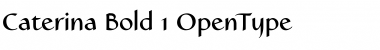 Download Caterina Bold Font Title Preview