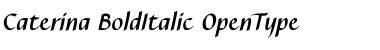 Download Caterina Bold Italic Font Title Preview