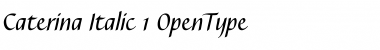 Download Caterina Italic Font Title Preview
