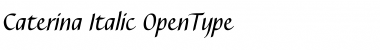 Download Caterina Italic Font Title Preview