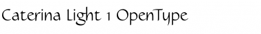 Download Caterina Light Font Title Preview
