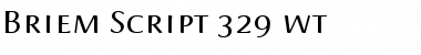 Download Briem Script Regular Font Title Preview