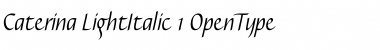 Download Caterina Light Italic Font Title Preview
