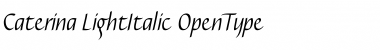 Download Caterina Light Italic Font Title Preview