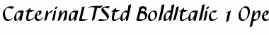 Download Caterina LT Std Bold Italic Font Title Preview