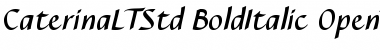Download Caterina LT Std Bold Italic Font Title Preview