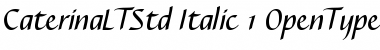 Download Caterina LT Std Italic Font Title Preview