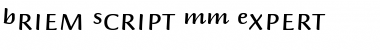 Download Briem Script MM Regular Font Title Preview