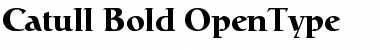 Download Catull Bold Font Title Preview