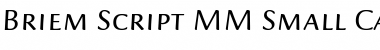 Download Briem Script MM Regular Font Title Preview