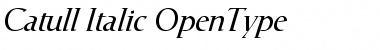 Download Catull Italic Font Title Preview