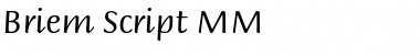 Download Briem Script MM Regular Font Title Preview