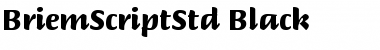 Download Briem Script Std Medium Bold Font Title Preview