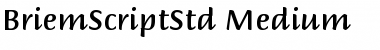 Download Briem Script Std Medium Regular Font Title Preview