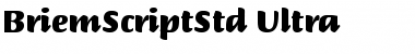 Download Briem Script Std Ultra Regular Font Title Preview