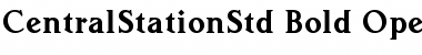 Download Central Station Std Bold Font Title Preview