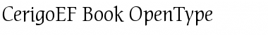 Download CerigoEF Book Font Title Preview