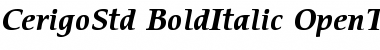 Download ITC Cerigo Std Bold Italic Font