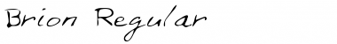 Download Brion Regular Font Title Preview