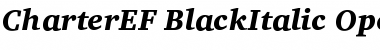 Download CharterEF BlackItalic Font Title Preview