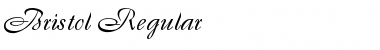 Download Bristol Regular Font Title Preview