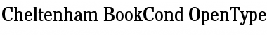 Download ITC Cheltenham Book Condensed Font Title Preview