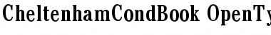 Download Cheltenham CondBook Font Title Preview