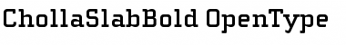 Download ChollaSlab Bold Font Title Preview