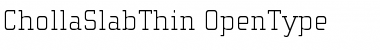 Download ChollaSlab Thin Font Title Preview