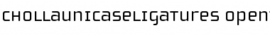 Download ChollaUnicaseLigatures Roman Font Title Preview