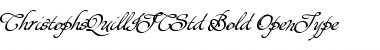 Download Christophs Quill ITC Std Bold Font Title Preview