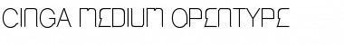 Download Cinga Medium Font Title Preview