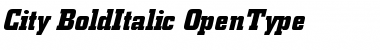 Download Berthold City Bold Italic Font Title Preview