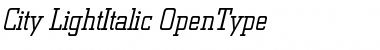 Download Berthold City Light Italic Font Title Preview