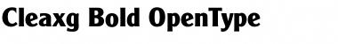 Download Cleaxg Bold Font Title Preview