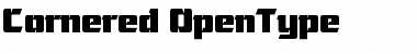 Download Cornered Regular Font Title Preview