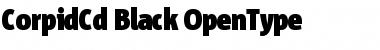 Download Corpid Cd Black Font Title Preview
