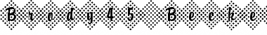Download Brody45 Becker Regular Font Title Preview