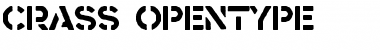 Download Crass Regular Font Title Preview