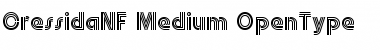 Download CressidaNF Medium Font Title Preview