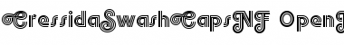 Download CressidaSwashCapsNF CressidaSwashCapsNF Font Title Preview