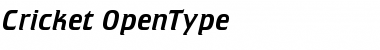 Download Cricket Regular Font Title Preview