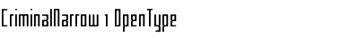 Download Criminal Narrow Font Title Preview